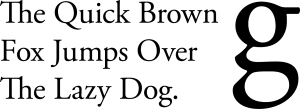 bracketed font